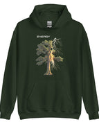 Forest Green / S