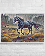 White / 24″×36″