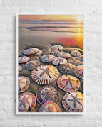 White / 24″×36″